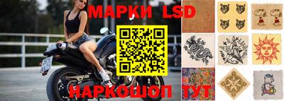 стафф Будённовск