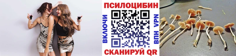 Псилоцибиновые грибы GOLDEN TEACHER  darknet как зайти  Вятские Поляны 