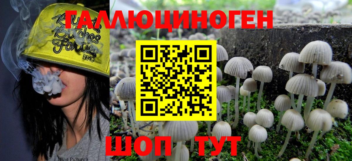 Псилоцибиновые грибы GOLDEN TEACHER  Вход с VPN  Вятские Поляны 